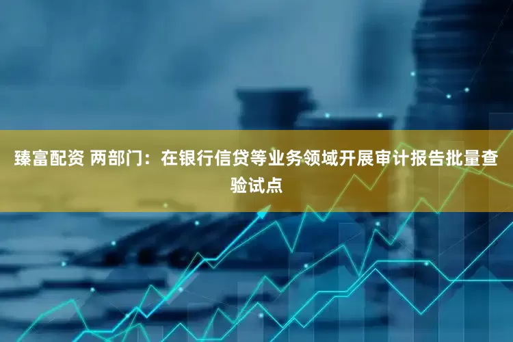 臻富配资 两部门：在银行信贷等业务领域开展审计报告批量查验试点