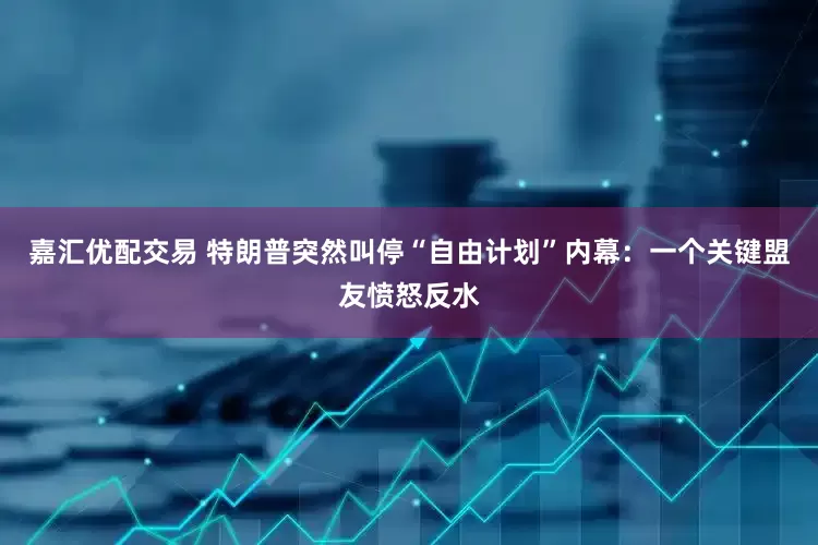 嘉汇优配交易 特朗普突然叫停“自由计划”内幕：一个关键盟友愤怒反水